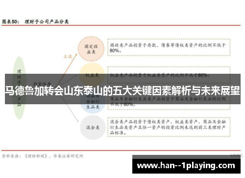 马德鲁加转会山东泰山的五大关键因素解析与未来展望