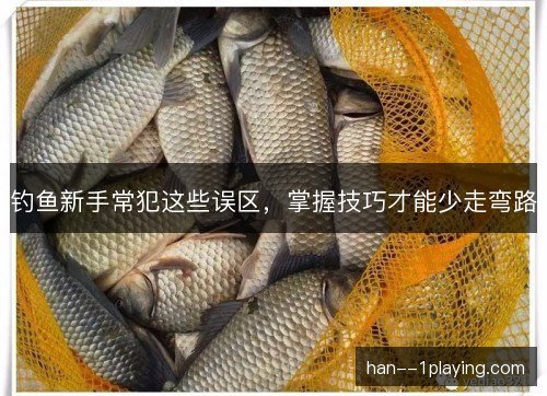 钓鱼新手常犯这些误区，掌握技巧才能少走弯路